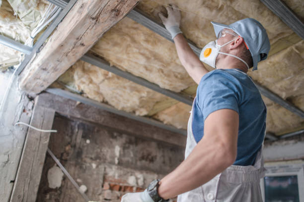 Best DIY Insulation Kits and Guidance in Mooreland, OK